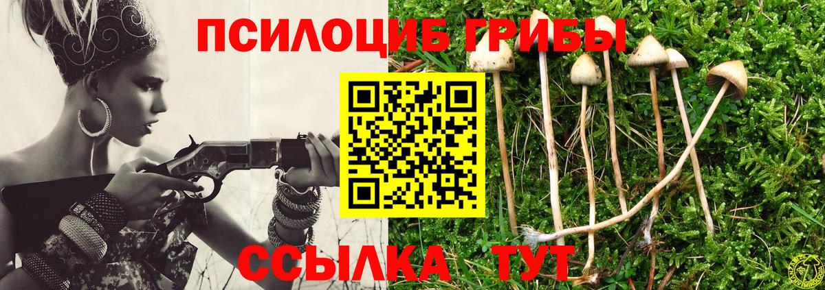 Псилоцибиновые грибы мухоморы  Вход с VPN  Донской 