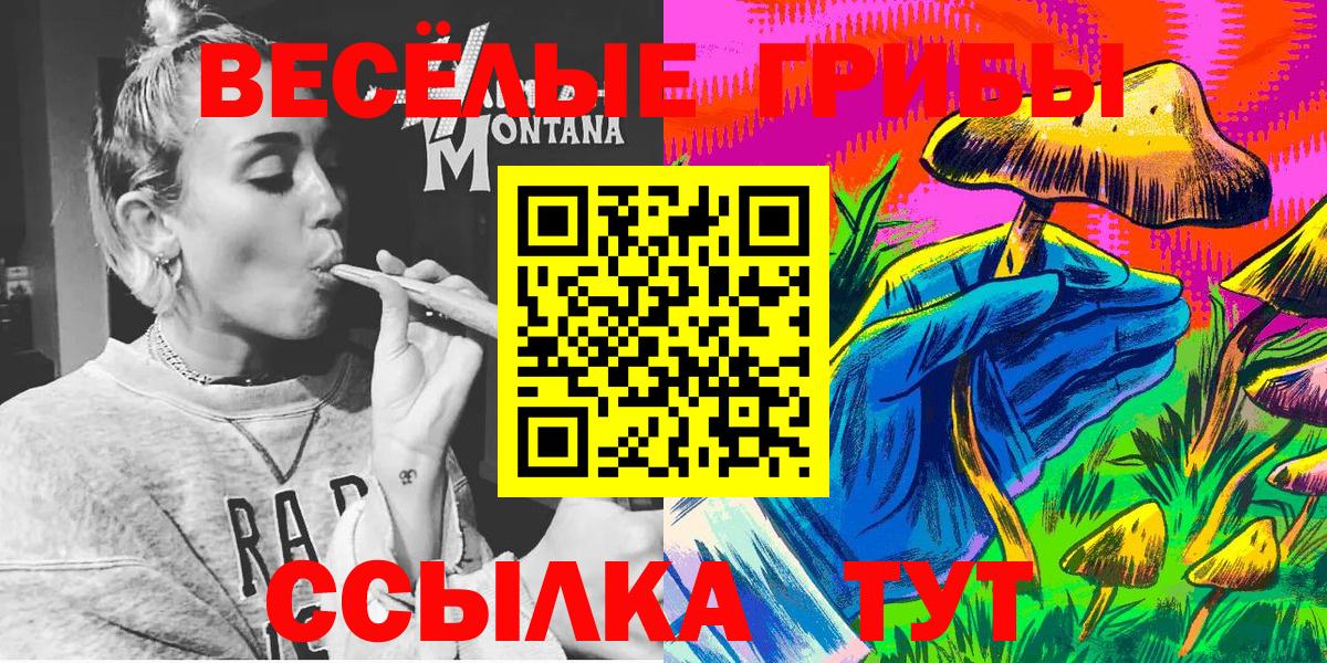 Псилоцибиновые грибы Psilocybe Донской